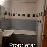 Alexandru Obregia, Nitu Vasile